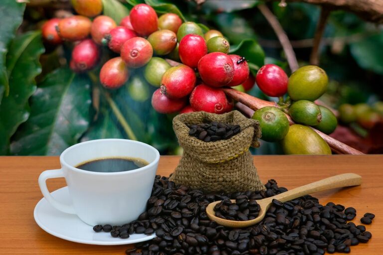 cafe les plus cher dans le monde