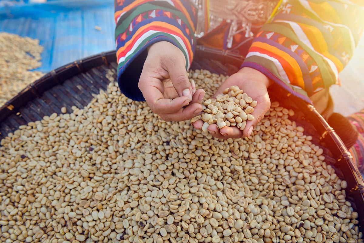 south american coffee