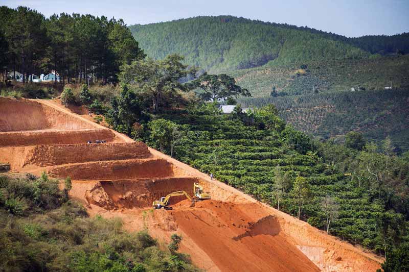 Forêts ont été abattues depuis 1973