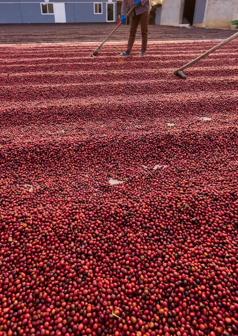 café haut de gamme